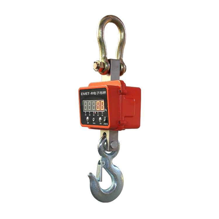 Precision Crane Scale